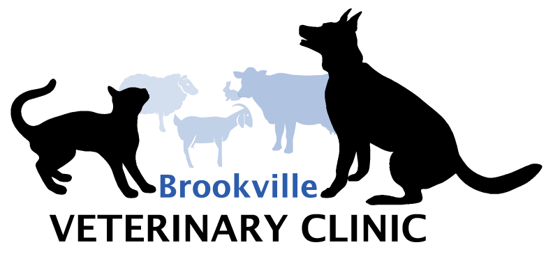 Brookville Veterinary Clinic - Veterinarians In Brookville, IN - Home